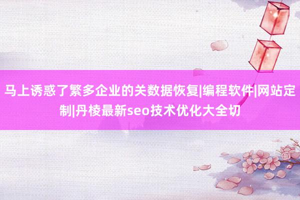 马上诱惑了繁多企业的关数据恢复|编程软件|网站定制|丹棱最新seo技术优化大全切