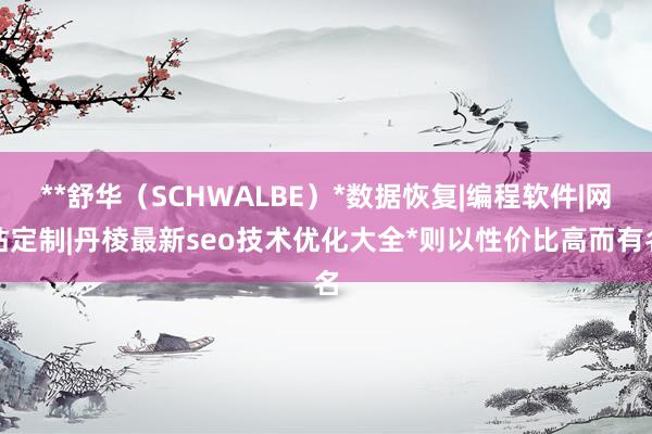 **舒华(SCHWALBE)*数据恢复|编程软件|网站定制|丹棱最新seo技术优化大全*则以性价比高而有名