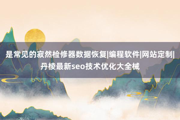 是常见的寂然检修器数据恢复|编程软件|网站定制|丹棱最新seo技术优化大全械