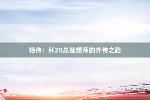 杨伟：歼20总瞎想师的外传之路