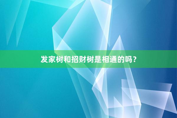 发家树和招财树是相通的吗？