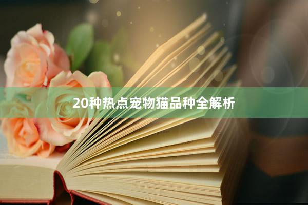 20种热点宠物猫品种全解析